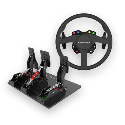 เกมรถ Playstation F1 ตามหลักสรีรศาสตร์ Direct Drive Racing Simulator 15Nm